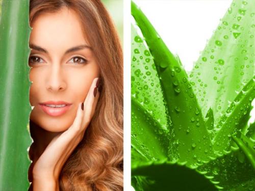 Маска для тонких волос в домашних условиях. Маски для густоты волос, объема, роста и блеска. Эффективные рецепты в домашних условиях