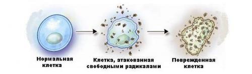 Неправильное использование масел: 7 ошибок, которые нужно избегать 03