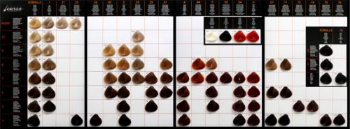 Как выбрать цвет волос в 2022 году 07 Как выбрать цвет волос в 2022 году 07