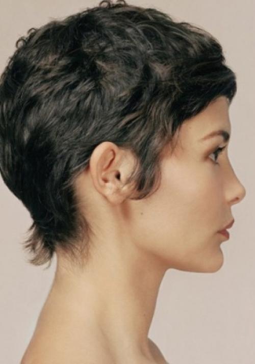 Модные женские стрижки на короткие. Модные короткие стрижки: тренды и классика 11