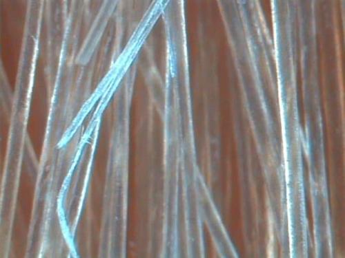 Как избавиться от секущихся кончиков без стрижки в домашних условиях. Атмосферное старение