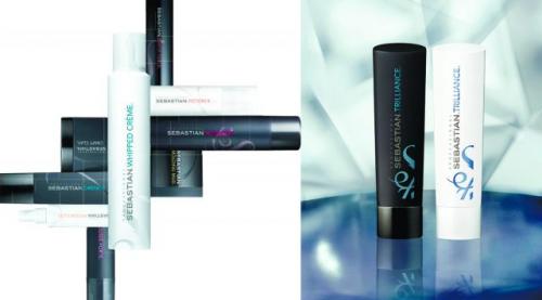 Как использовать продукты из каталога профессиональной косметики для волос. Любимая косметика стилистов: какие профессиональные средства для волос можно использовать дома?