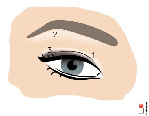 Идеи макияжа. Всему научим: макияж глаз для начинающих