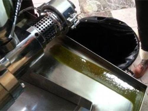 Какие масла приносят больше всего пользы для волос. Масла для стержней волос 01