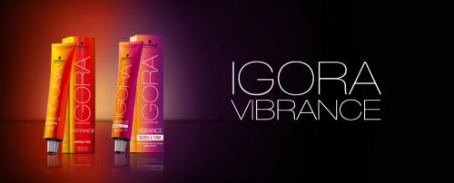 Крем-краска для волос цвета. Палитра цветов красок для волос 04