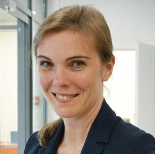 Волосы стали очень редкими, что делать. Причины тонких волос 02 Волосы стали очень редкими, что делать. Причины тонких волос 02