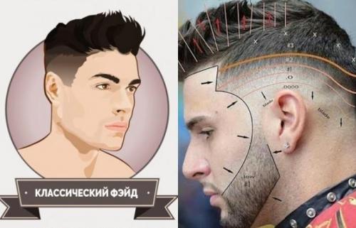 Taper-Style Model Cuts: The Ultimate Guide 16 Taper-Style Model Cuts: The Ultimate Guide 16
