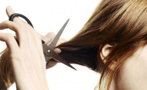 Какие основные схемы женских стрижек существуют