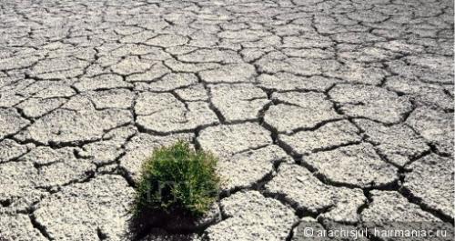 Электризуются волосы на холоде. Электризация волос: Причины электризации. Что делать, чтобы волосы не электризовались и не магнитились?