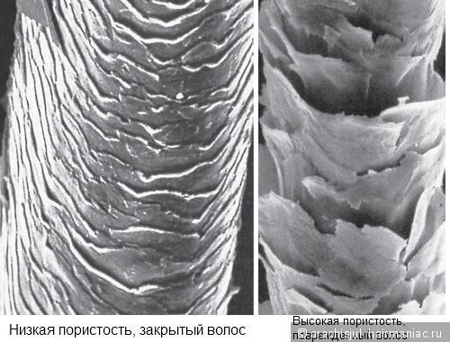 Электризуются волосы на холоде. Электризация волос: Причины электризации. Что делать, чтобы волосы не электризовались и не магнитились?