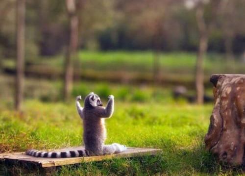 Как свет влияет на нашу способность концентрироваться. Польза солнца