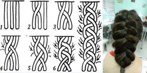 Прически из косичек. Как заплести красивую прическу с косами на волосы разной длины: схемы и рекомендации по плетению