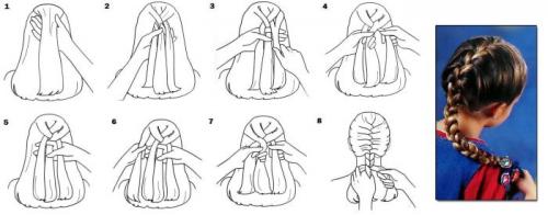 Прически из косичек. Как заплести красивую прическу с косами на волосы разной длины: схемы и рекомендации по плетению