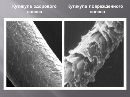 Профессиональный уход за пористыми волосами. Что такое пористые волосы и как ухаживать за ними, чтобы утяжелить — советы профессионалов