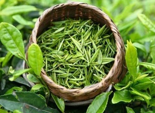 Лучшие маски для волос для блондинок. Маски для волос для блондинок в домашних условиях