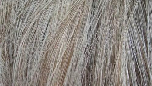 Как делать прикорневое мелирование. Мелирование на отросшие корни – фото, отзывы, цены, плюсы и минусы