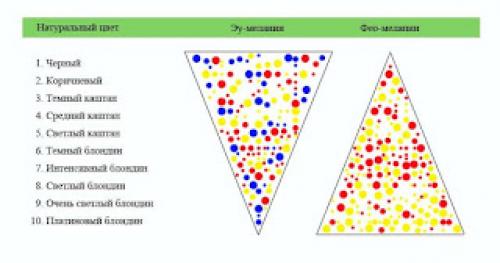 Глубина тона волос это. Уровень глубины
тона