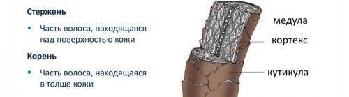 Уровень глубины тона бровей. Колористика. Что такое цвет и откуда он берется?