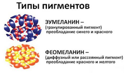 Глубина тона волос это. Уровень глубины
тона