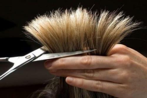 Секущиеся кончики: как выглядят. Ломкие и секущиеся кончики волос: как избавится в домашних условиях?