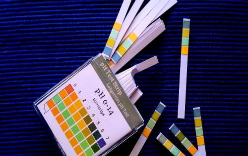 Вреден ли шампунь с высоким pH для волос и кожи головы 06 Вреден ли шампунь с высоким pH для волос и кожи головы 06