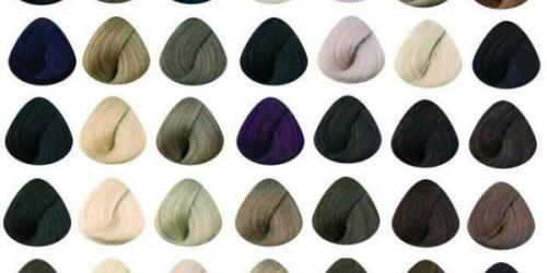 Профессиональная краска для волос италия бренды рейтинг. ТОП-10 профессиональных красок для домашнего использования 01