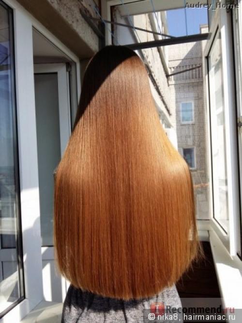 Если не стричь волосы год. Стричь или не стричь, вот в чем вопрос...