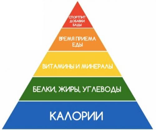 Как часто нужно употреблять пищу, чтобы поддерживать метаболизм во время диеты для живота. Фитнес-мифы: дробное питание разгоняет метаболизм