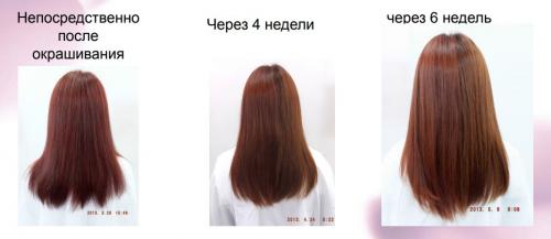 Как долго держится результат окрашивания волос краской из палитры. Lebel Materia: инструкция по окрашиванию. Техники, схемы, предостережения