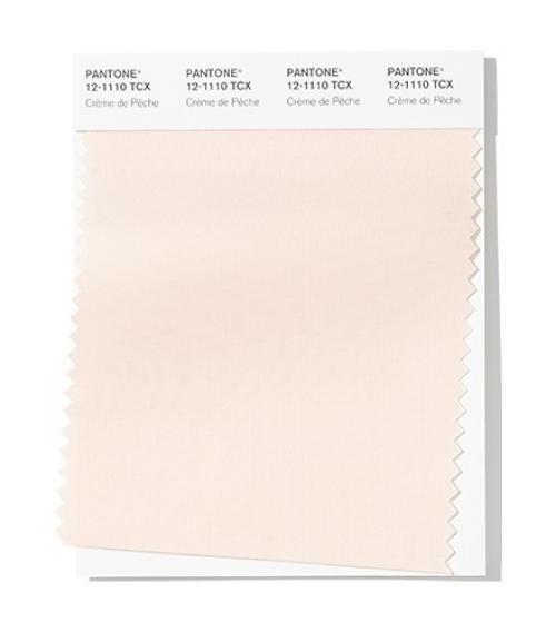 Пантон 2019 осень. Модные цвета осень-зима 2019-2020 по версии Pantone