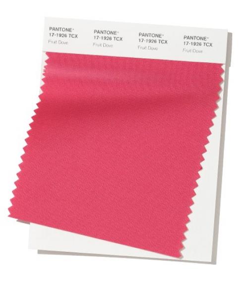Пантон 2019 осень. Модные цвета осень-зима 2019-2020 по версии Pantone
