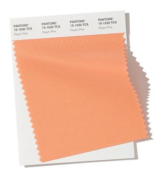 Пантон 2019 осень. Модные цвета осень-зима 2019-2020 по версии Pantone