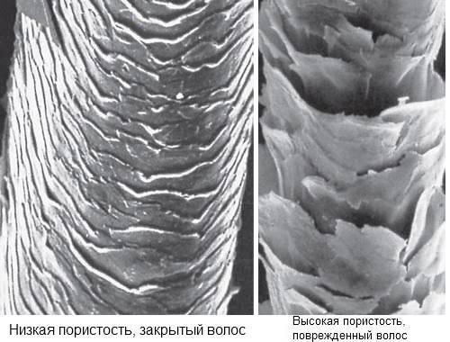 Самый простой способ закрасить рыжину. Косметические средства, с помощью которых можно убрать или закрасить рыжий цвет волос после осветления 08