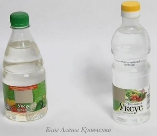 Эффективные народные средства от перхоти – проверенные рецепты в домашних условиях 14 Эффективные народные средства от перхоти – проверенные рецепты в домашних условиях 14