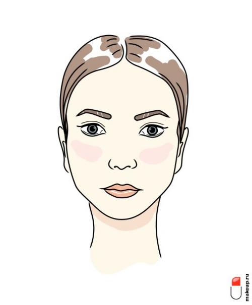 Как определить форму своего лица. Классификация лиц по форме