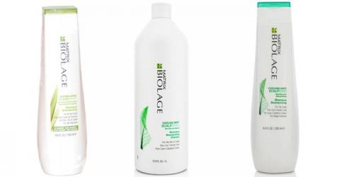 Жирные корни и очень сухие кончики. Совет 1: правильно мойте голову 06 Жирные корни и очень сухие кончики. Совет 1: правильно мойте голову 06