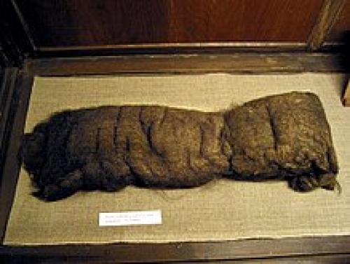 Откуда у человека берутся колтуны и что с ними делать. Колтуны в волосах: причины появления у человека 03