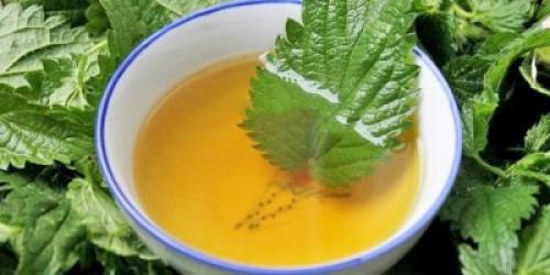 Какие ингредиенты наиболее часто используются в народных средствах от перхоти. 16 рецептов народных средств от перхоти для мужчин: маски, отвары, настойки, масла, травы