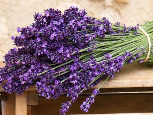 Эффективные способы лечения перхоти народными средствами 03 Эффективные способы лечения перхоти народными средствами 03