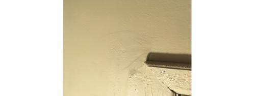 Как устранить полосы или пятна после окраски. После окраски видны следы от валика или проступают шпатлевочные пятна, что делать?