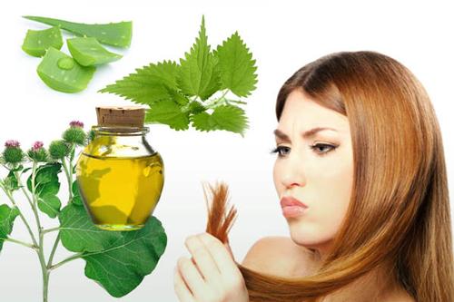 Маска для сухих кончиков волос в домашних условиях. Маски для сухих кончиков волос в домашних условиях: 10 лучших