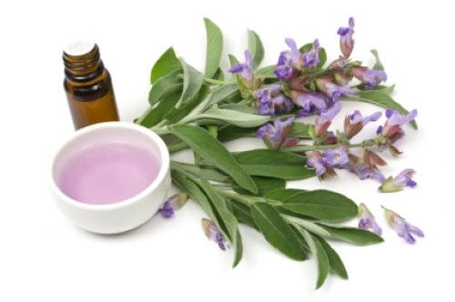 Как быстро смыть черный цвет волос в домашних условиях: эффективные методы 05 Как быстро смыть черный цвет волос в домашних условиях: эффективные методы 05