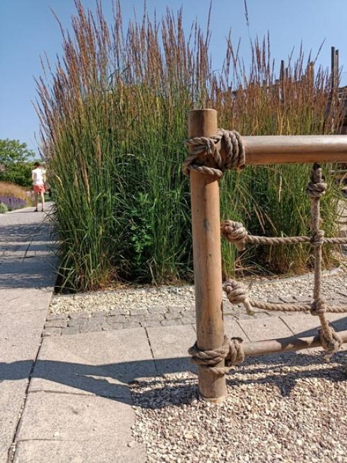 В сентябре у меня появился второй ландшафтный проект. 01 В сентябре у меня появился второй ландшафтный проект. 01