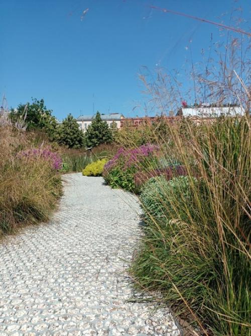 В сентябре у меня появился второй ландшафтный проект. 03 В сентябре у меня появился второй ландшафтный проект. 03