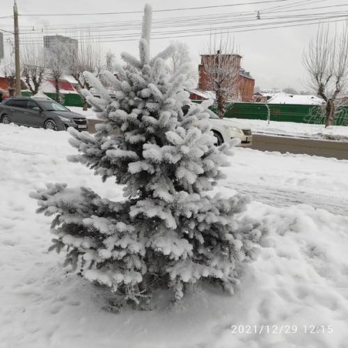 Ну, что, 2022? 04