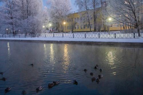 В курортном парке. 02 В курортном парке. 02