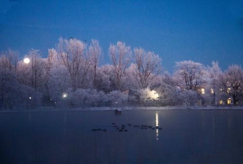 В курортном парке. 01 В курортном парке. 01
