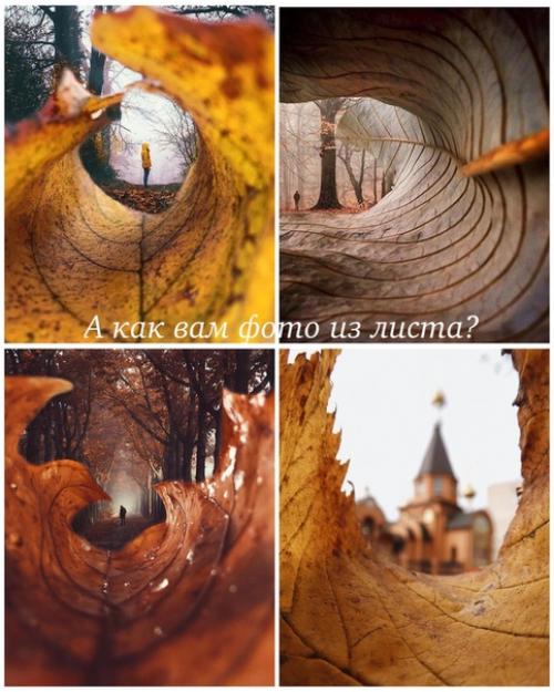 Идеи для осенних фото. 09