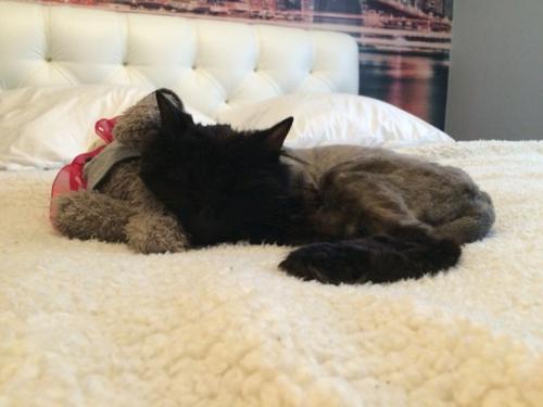 Девочка срочно дом ищет! 01