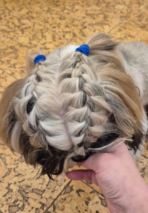 Давно я вам модника своего не показывала. 03